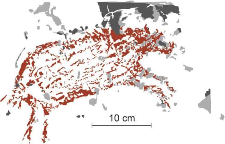 Source: Huntley et al. 2021