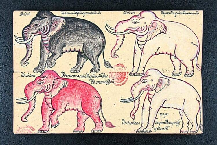 Source: Bangkok Post 20210720