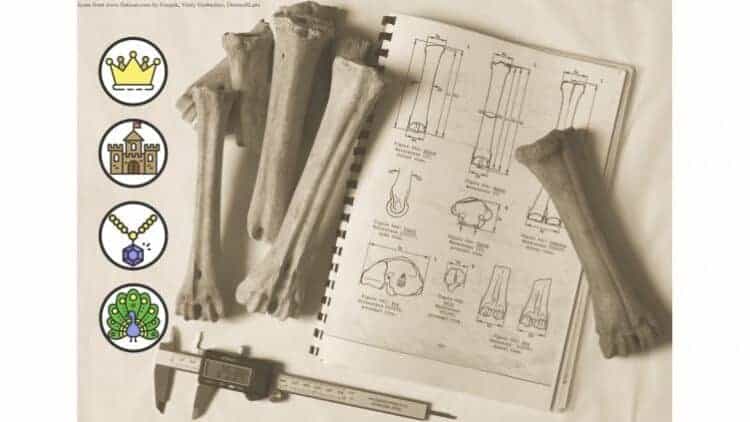 Source: Sheffield University Archaeology
