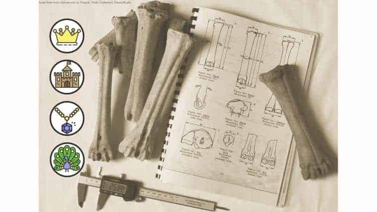 Source: Sheffield University Archaeology