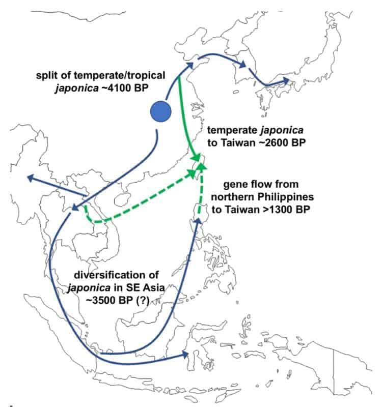 Source: Alam et al. 2021