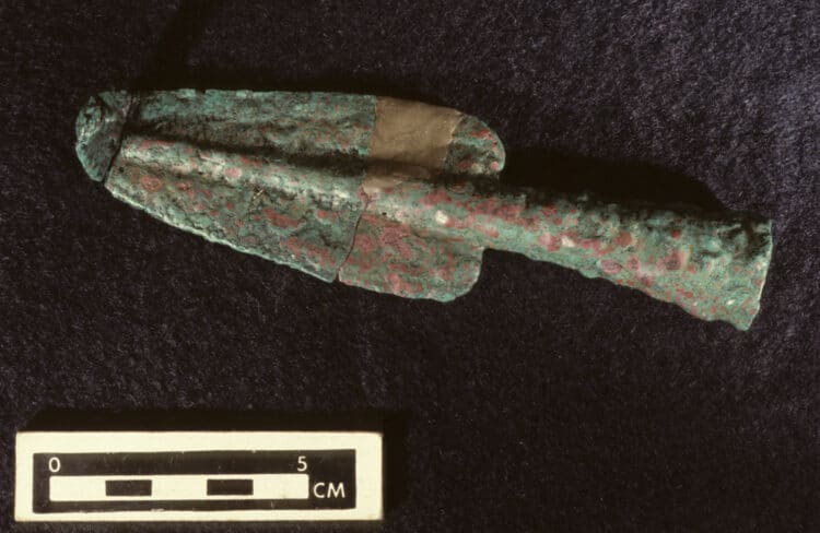 Source: Penn Today 20210729