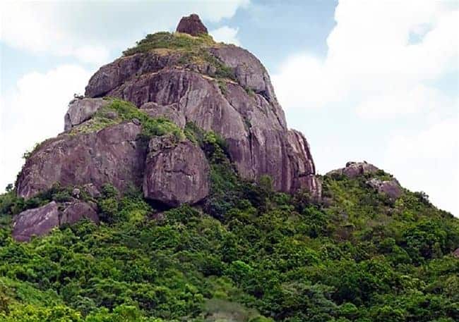 Source: VietnamNet 20210809