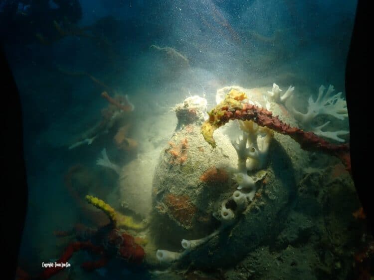 Source: InDepth 20210803