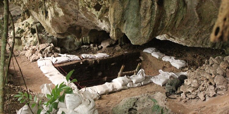 Source: UWA Archaeology