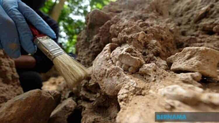 Bones from Gua Semadong, Perlis. Source: Berita Mediacorp 20211015