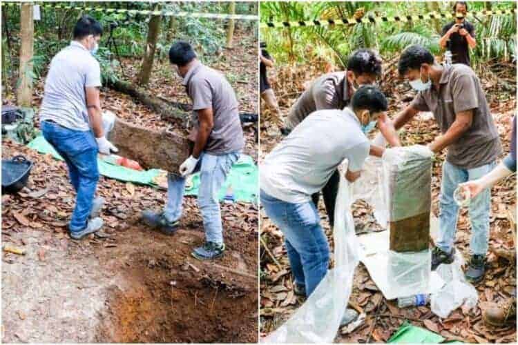 Source: The Straits Times 20211119