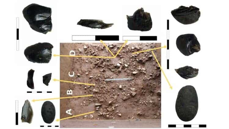 Source: Marwick et al. 2022