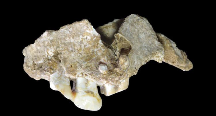 Source: The Past 20220115