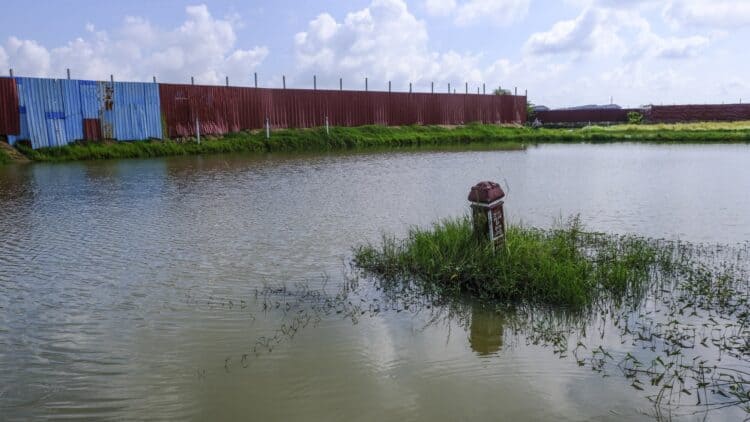 Source: South China Morning Post 20220221