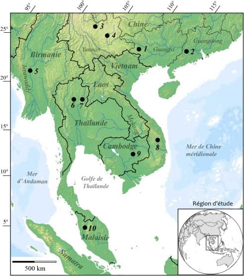 Source: Forestier et al. 2022