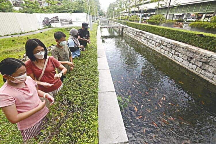 Source: The Sun 20220321