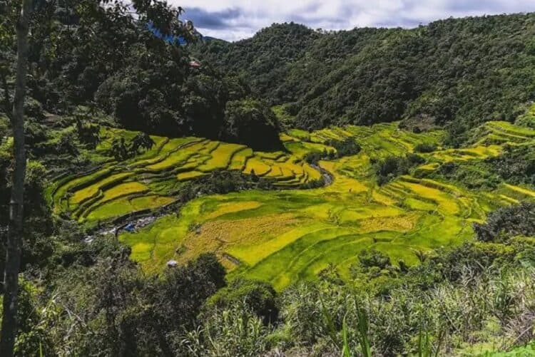 Source: Manila Times 20220310