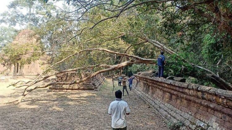 Source: Phnom Penh Post 20220308