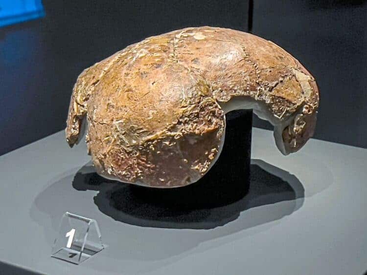 Source: the Star 20220424