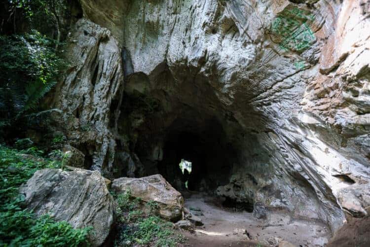 Source: The Vibes 20220412