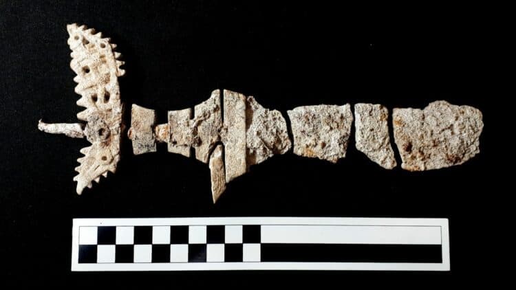 Source: Equire 20220519