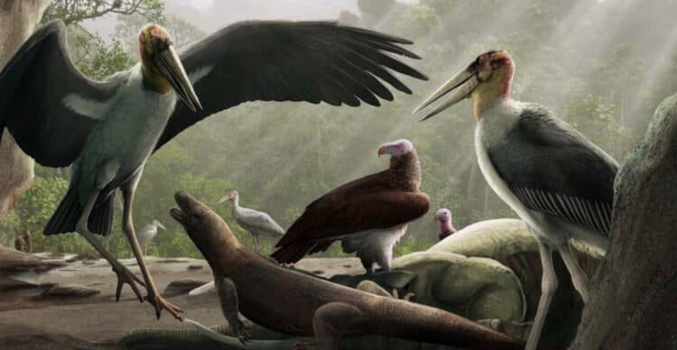 Source: Natural History Museum 20220713