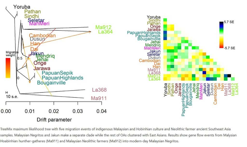 Source: Angkhanian et al 2022