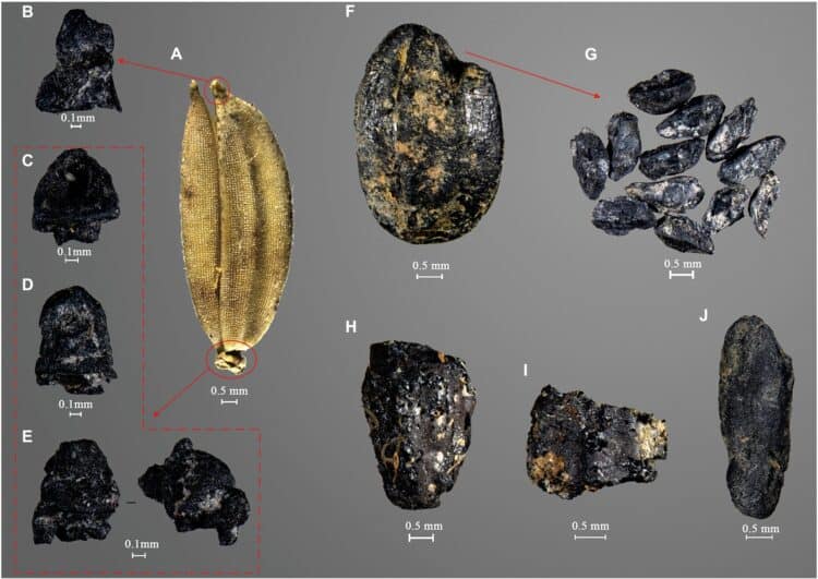Source: Deng et al. 2022