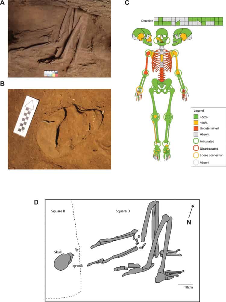 Source: Carro et al 2022