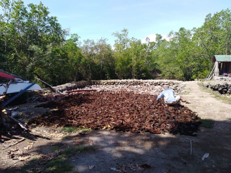 Source: Manila Bulletin 20220903