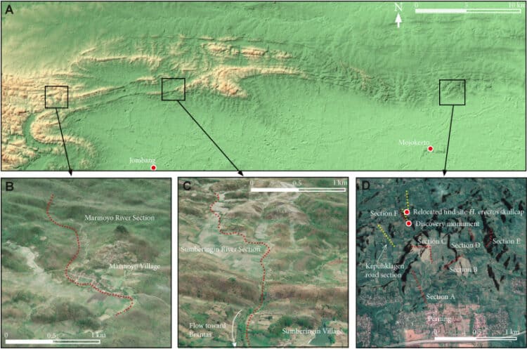 Source: Berghuis et al. 2022