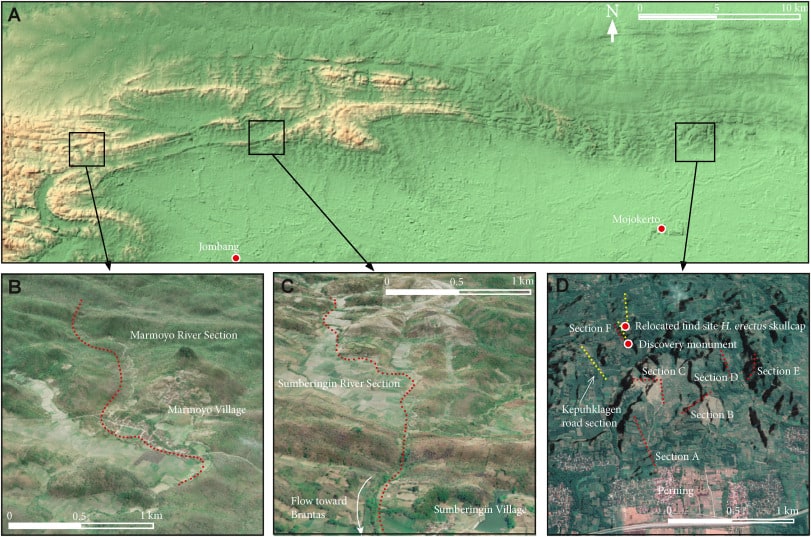 Source: Berghuis et al. 2022