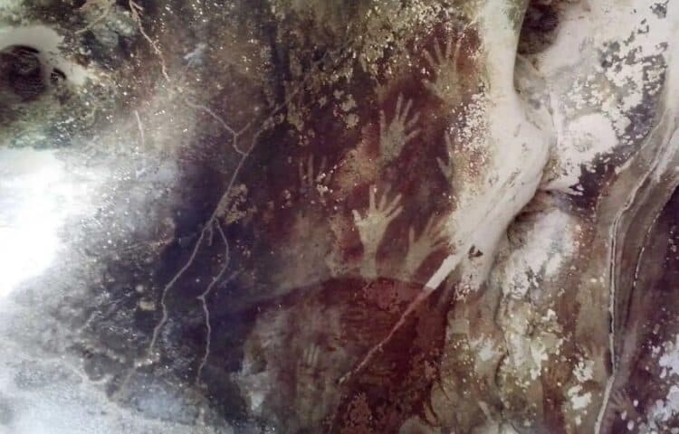 Source: The Collector 20221111