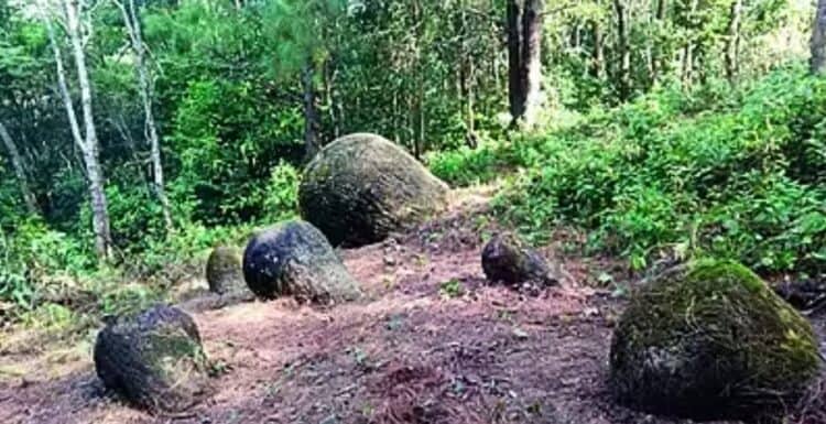 Source: The Sentinel 20221129