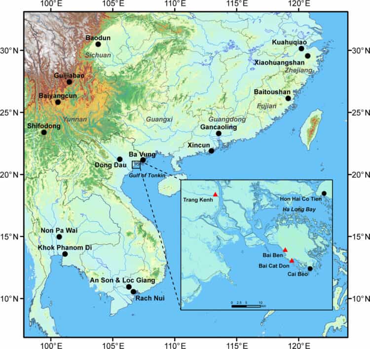 Source: Wang et al. 2022