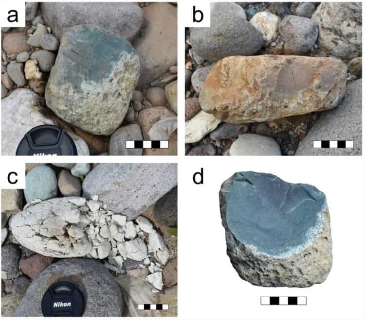 Source: Lin et al. 2022
