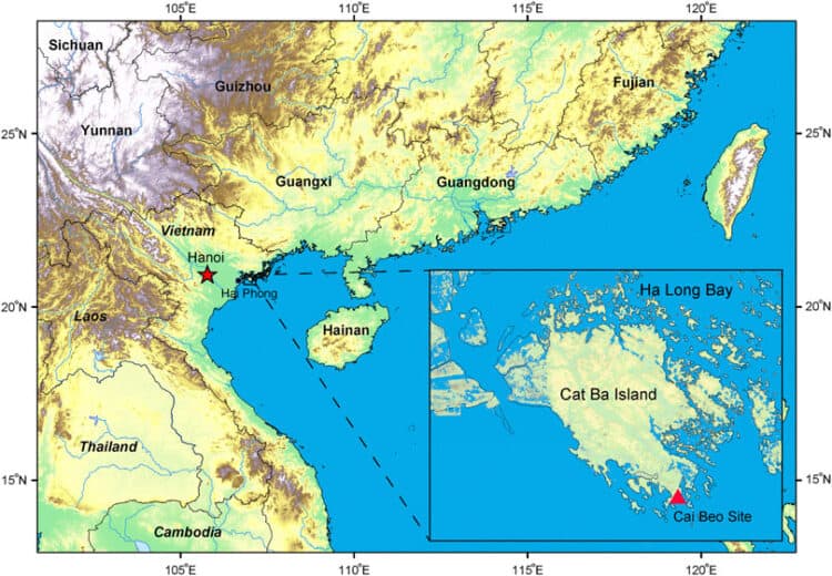 Wang et al. 2022