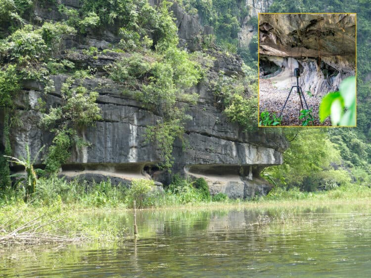 Source: Rabett et al. 2023