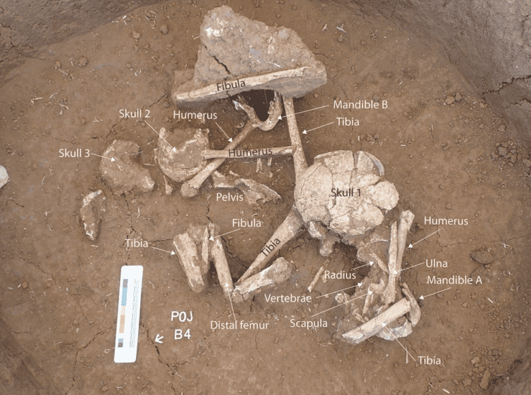 Source: O Reilly et al. 2023