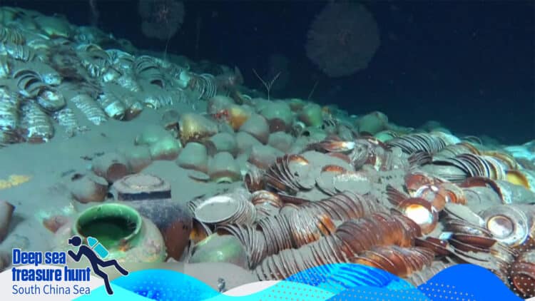 Source: CGTN 20230611