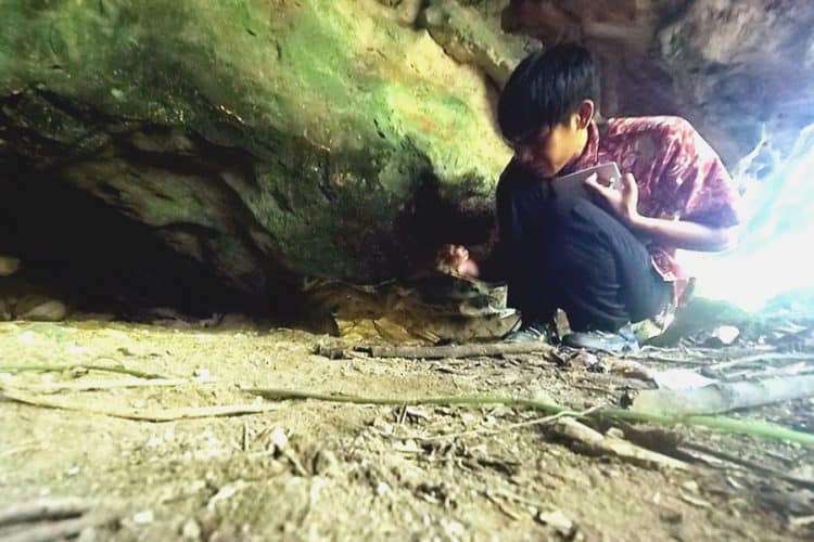 Source: Mongabay 20230725