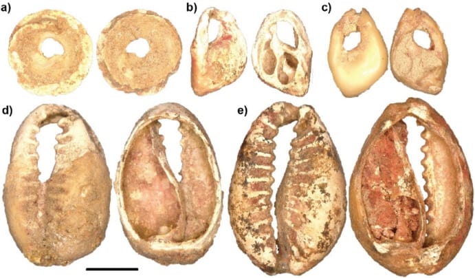 Source: Maloney et al. 2023