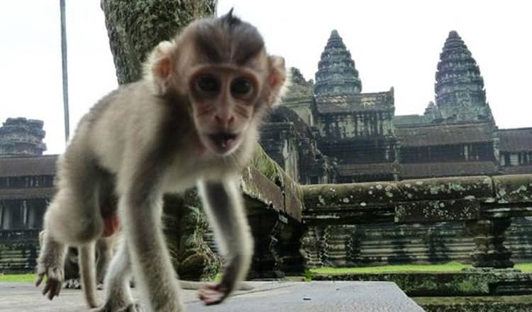 Source: Khmer Times 20230826