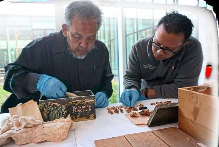 Source: The Star 20230923