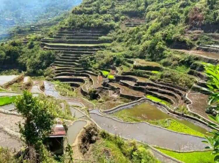 Source: Good News Pilipinas 20230914