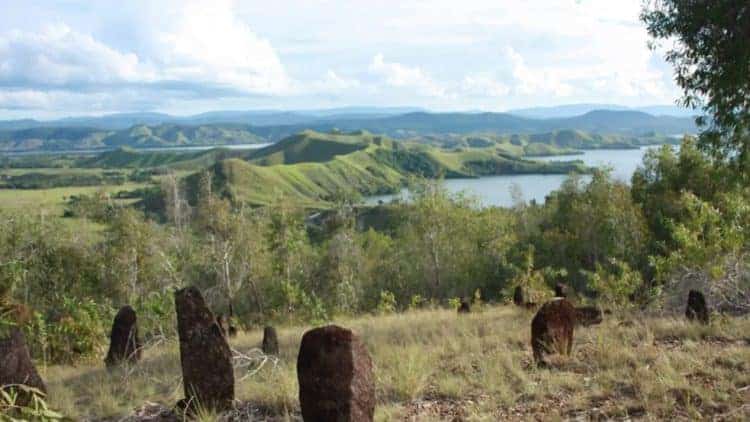 Source: Liputan6 20230909