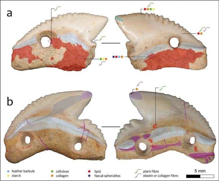 Source: Langley et al. 2023