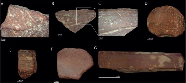 Source: Samper Carro et al. 2024