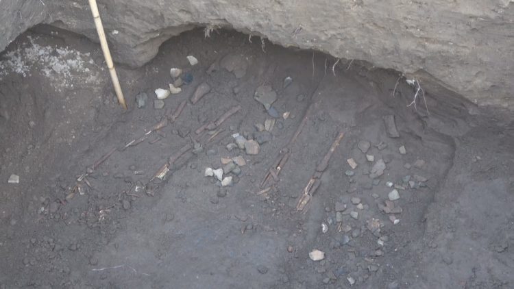 Source: Khaosod English 20231111