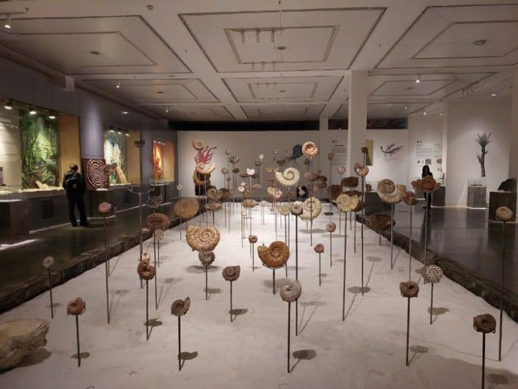 Source: Vietnam Net 20231124