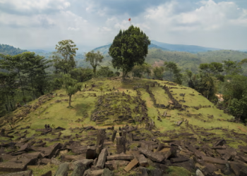 Source: The Guardian 20231216