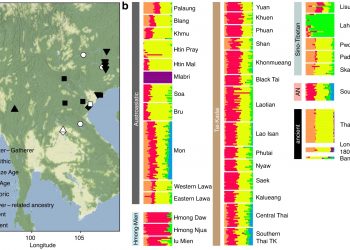 [Paper] Genomic portrait and relatedness patterns of the Iron Age Log Coffin culture in northwestern Thailand