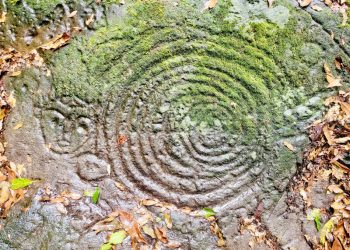 Source: Taipei Times 20240112