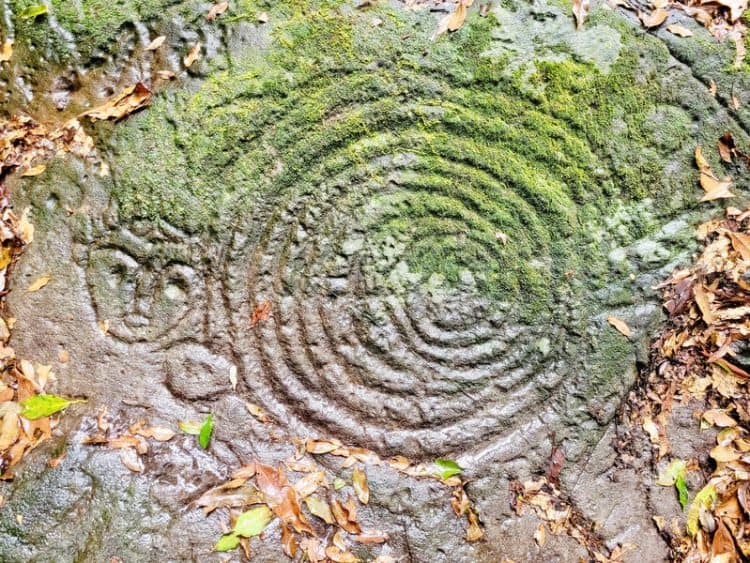 Source: Taipei Times 20240112